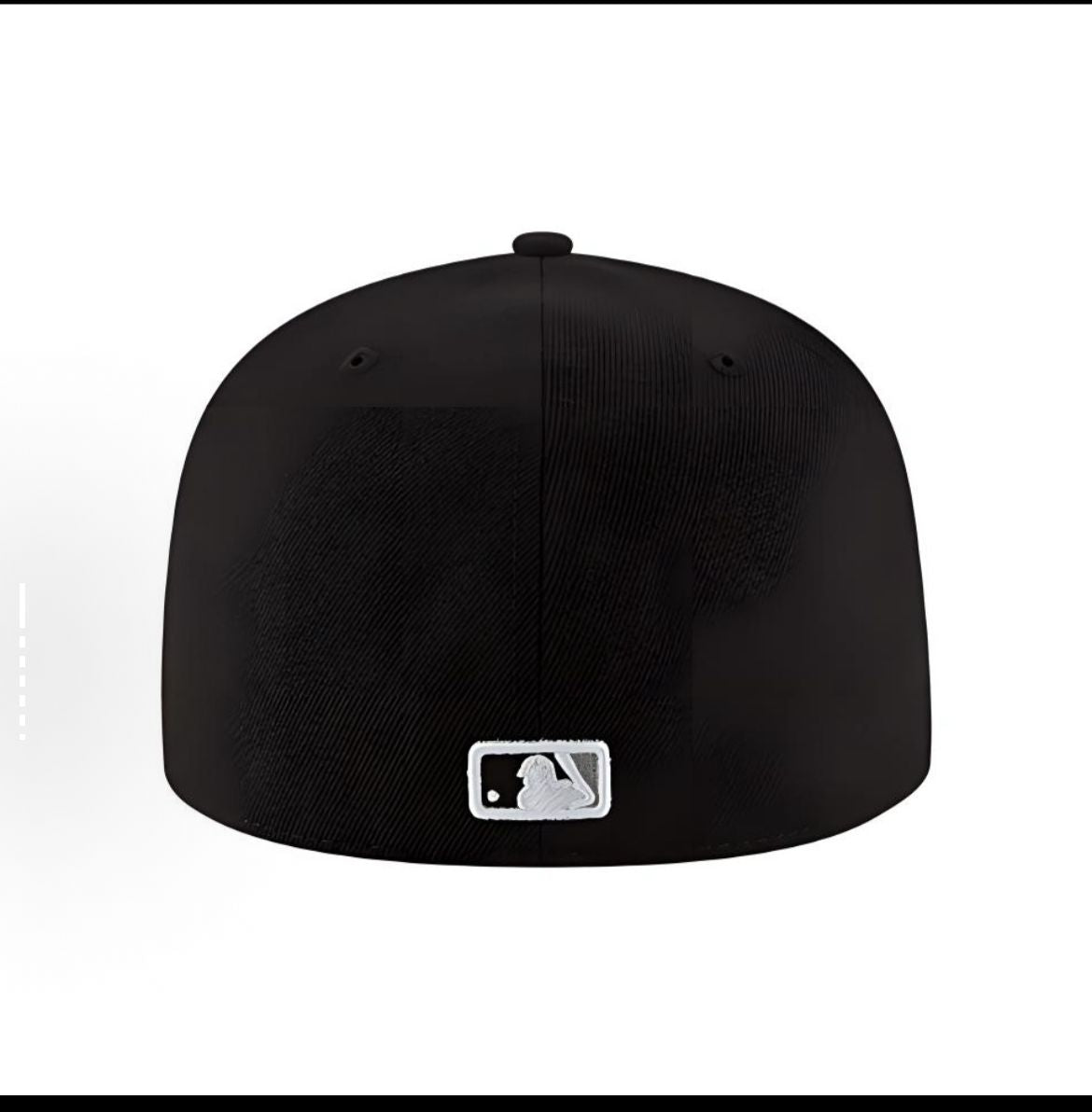 LARGE IMAGE WITH TEXT BOX